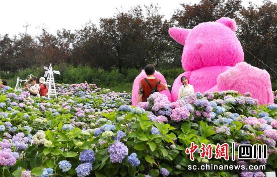 游客打卡观赏。贡井融媒 供图 游客打卡观赏。贡井融媒 供图