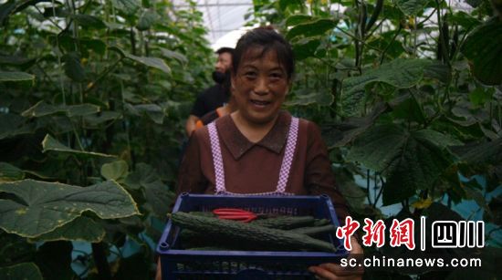 正在搬运新鲜菜品。刘倩 摄 正在搬运新鲜菜品。刘倩 摄
