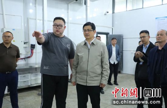 督导调研现场。雨城融媒 供图 督导调研现场。雨城融媒 供图