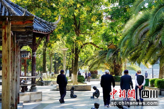 市民在“口袋公园”散步休闲。 平武县委宣传部供图 市民在“口袋公园”散步休闲。 平武县委宣传部供图