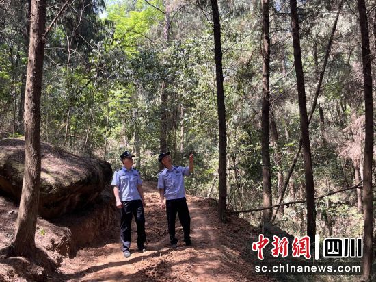 开展森林防火宣传活动。游仙公安供图 开展森林防火宣传活动。游仙公安供图