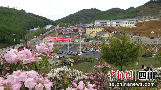 丙乙底索玛花景区。邱兴春摄 丙乙底索玛花景区。邱兴春摄