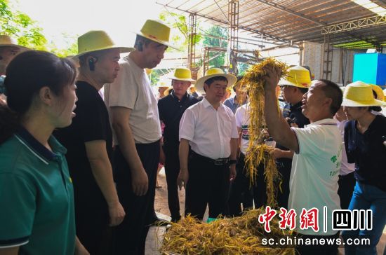 2024年全省农作物秸秆高质高效利用工作推进会上,与会人员现场观摩农作物秸秆饲料化加工。彭传桁 摄 2024年全省农作物秸秆高质高效利用工作推进会上,与会人员现场观摩农作物秸秆饲料化加工。彭传桁 摄