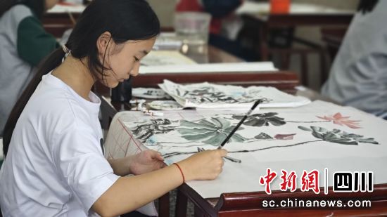 比赛现场。合江县融媒体中心供图 比赛现场。合江县融媒体中心供图