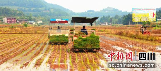 插秧机正在作业。李同周 摄 插秧机正在作业。李同周 摄