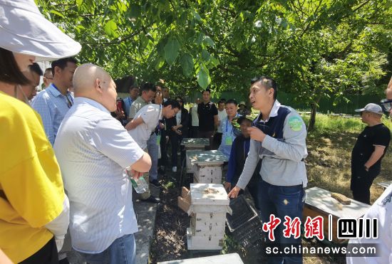 活动现场。裴玉松摄 活动现场。裴玉松摄