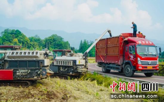 收割现场。杨超 供图 收割现场。杨超 供图
