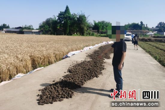 警方破获川芎失窃案。 马井镇派出所供图 警方破获川芎失窃案。 马井镇派出所供图