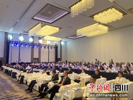 活动现场。郫都区融媒体中心 供图 活动现场。郫都区融媒体中心 供图