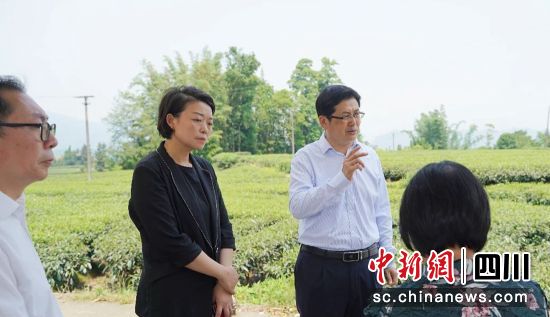 督导调研现场。雨城融媒 供图 督导调研现场。雨城融媒 供图