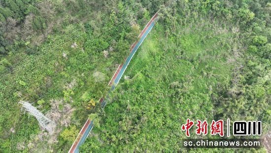 顺庆绿道。顺庆区融媒体中心供图 顺庆绿道。顺庆区融媒体中心供图