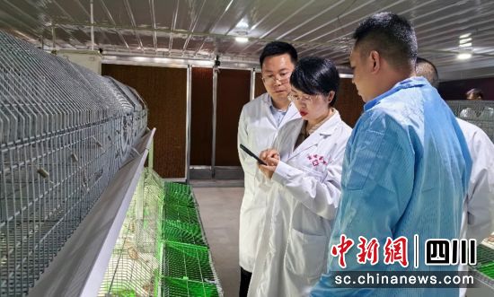 调研指导现场。富顺融媒 供图 调研指导现场。富顺融媒 供图