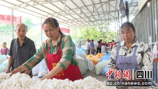 农户们正在忙碌。余健 摄 农户们正在忙碌。余健 摄