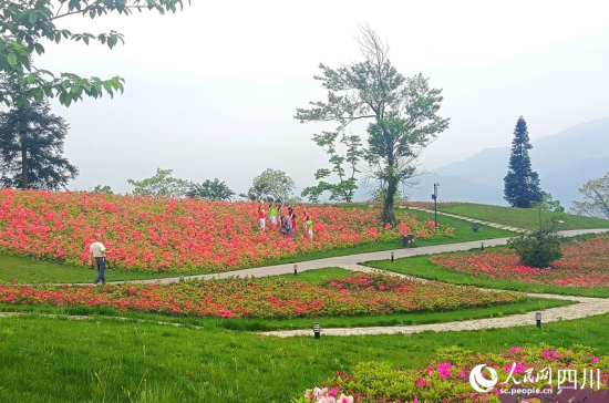 大岗山中医药康养旅游示范基地。人民网 薛育建摄 大岗山中医药康养旅游示范基地。人民网 薛育建摄