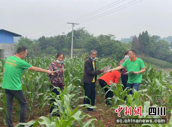 农险协保员走进田间地头为农户讲解政策农险。平安产险四川分公司供图 农险协保员走进田间地头为农户讲解政策农险。平安产险四川分公司供图