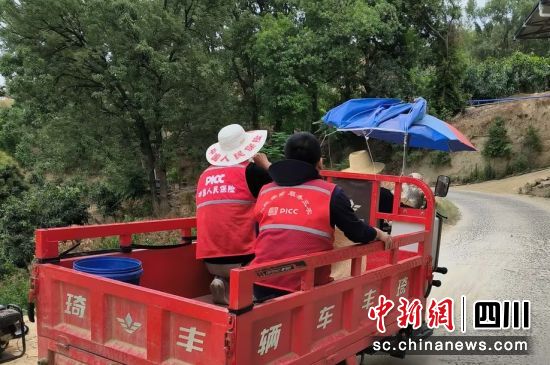 理赔人员乘坐三轮车前往芒果种植基地。四川人保财险供图 理赔人员乘坐三轮车前往芒果种植基地。四川人保财险供图