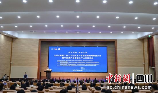 论坛现场。彭勇 摄 论坛现场。彭勇 摄