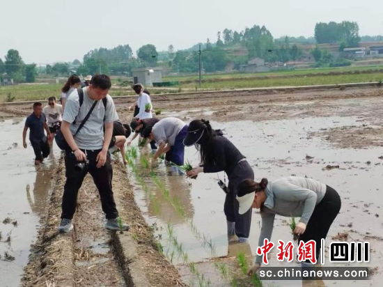 体验农业技术。 罗江区委宣传部供图 体验农业技术。 罗江区委宣传部供图