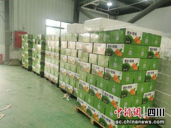 资料图为准备发往全国各地的仪陇县农产品。中国电信四川公司供图 资料图为准备发往全国各地的仪陇县农产品。中国电信四川公司供图