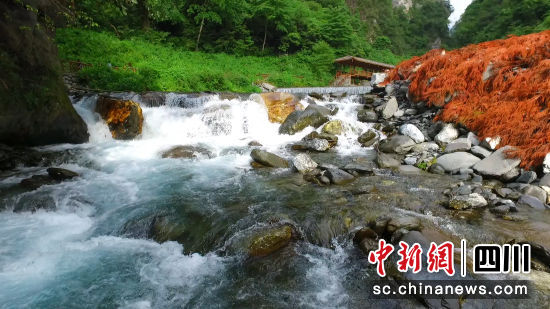 北川优美的自然环境。 北川县委宣传部供图 北川优美的自然环境。 北川县委宣传部供图
