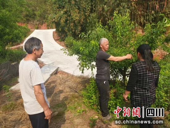 古帮泽在蜂糖李基地开展管理培训。 孙学强 摄 古帮泽在蜂糖李基地开展管理培训。 孙学强 摄