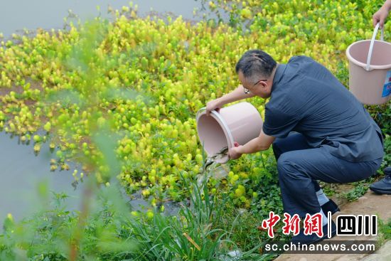 活动现场。 什邡市人民法院供图 活动现场。 什邡市人民法院供图