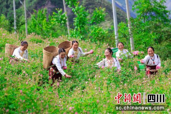 村美民富的乡村画巻。小金县委宣传部供图 村美民富的乡村画巻。小金县委宣传部供图