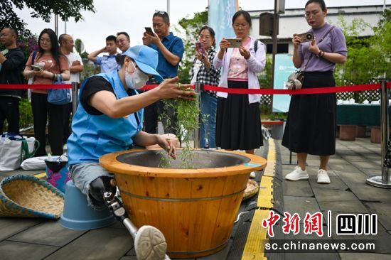 1号选手龚瑶正在进行手工制茶比赛。记者 刘忠俊 摄 1号选手龚瑶正在进行手工制茶比赛。记者 刘忠俊 摄