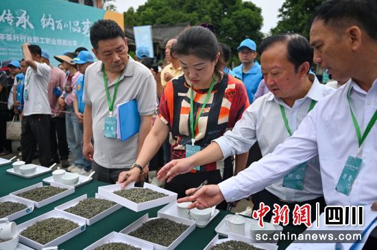 评委正在对参赛新茶进行打分评选。记者 刘忠俊 摄 评委正在对参赛新茶进行打分评选。记者 刘忠俊 摄