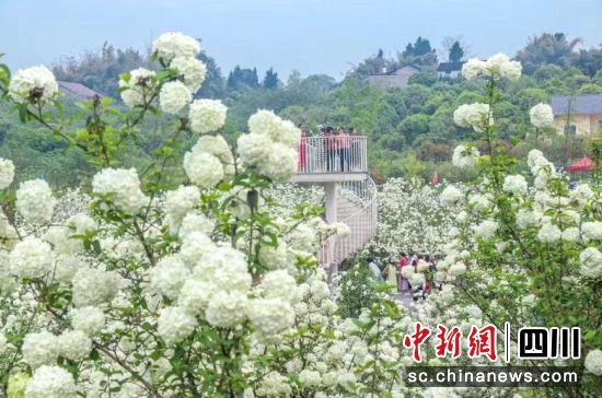 “百花谷”景区。杨波 摄 “百花谷”景区。杨波 摄