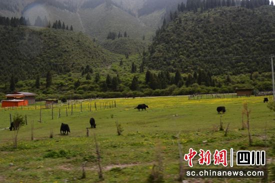 壤塘的城乡环境质量显著提升。壤塘县委宣传部供图 壤塘的城乡环境质量显著提升。壤塘县委宣传部供图