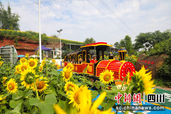 游客在向日葵花海中游玩。杨尚威 摄 游客在向日葵花海中游玩。杨尚威 摄
