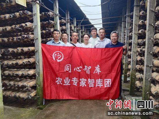什邡统一战线“同心智库”农业专家团到什邡湔氐镇开展技术指导。 什邡市委统战部供图 什邡统一战线“同心智库”农业专家团到什邡湔氐镇开展技术指导。 什邡市委统战部供图