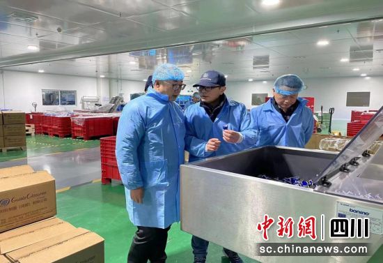 调研现场。邛崃市委统战部供图 调研现场。邛崃市委统战部供图