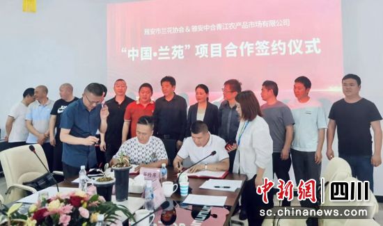 签约现场。雅兰基地 供图 签约现场。雅兰基地 供图