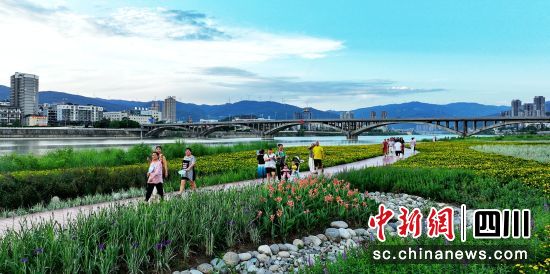 改造后的广元嘉陵江步游道。 陈平 摄 改造后的广元嘉陵江步游道。 陈平 摄