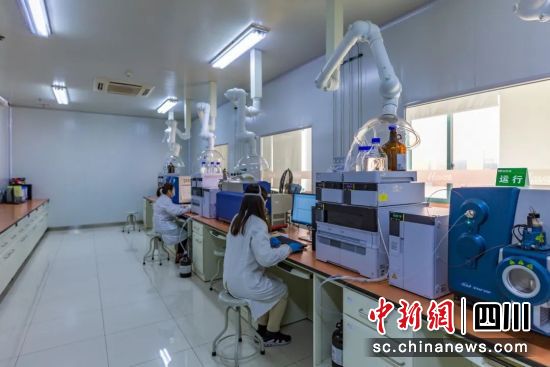 工作现场。温江区委宣传部供图 工作现场。温江区委宣传部供图
