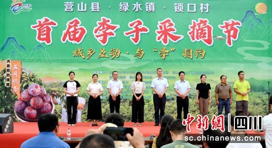 李子采摘节开幕现场。邹刚 摄 李子采摘节开幕现场。邹刚 摄