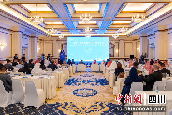 对接会现场。成都市经信局市新经济委供图 对接会现场。成都市经信局市新经济委供图
