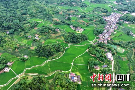 村落旁的千亩高标准农田。廖胜春 摄 村落旁的千亩高标准农田。廖胜春 摄