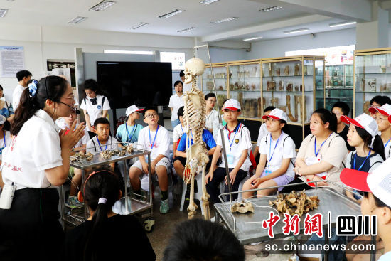 活动现场。龙马潭区融媒体中心供图 活动现场。龙马潭区融媒体中心供图