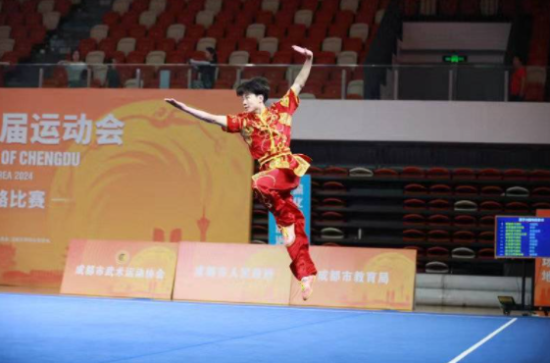 成都市运会武术比赛 成都市运会武术比赛