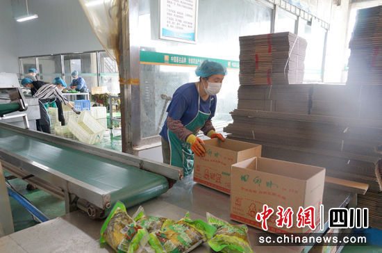 四川回乡妹食品有限公司生产车间。 绵竹市融媒体中心供图 四川回乡妹食品有限公司生产车间。 绵竹市融媒体中心供图