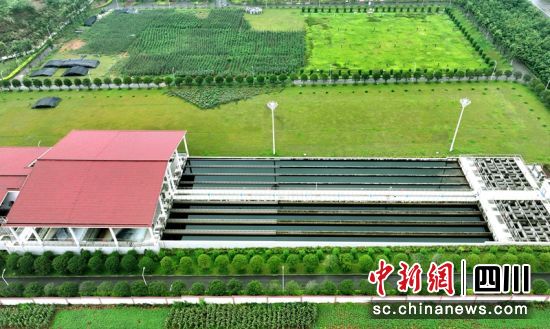 航拍仁寿县黑龙滩水厂镇水厂。潘建勇 摄 航拍仁寿县黑龙滩水厂镇水厂。潘建勇 摄