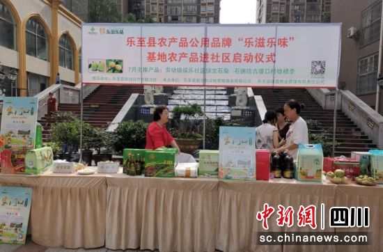 启动仪式现场。骆龙 摄 启动仪式现场。骆龙 摄