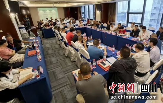 鉴赏会现场。逸西 供图 鉴赏会现场。逸西 供图