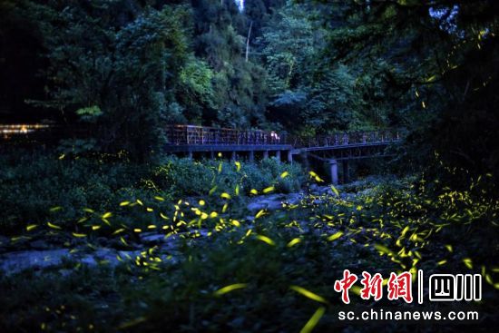 天台山萤火虫胜景(成都天台山旅游景区 供图) 天台山萤火虫胜景(成都天台山旅游景区 供图)