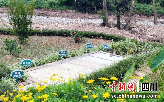 农户家中的“3+1”生活污水处理系统。(资料图)程欢悦 摄 农户家中的“3+1”生活污水处理系统。(资料图)程欢悦 摄