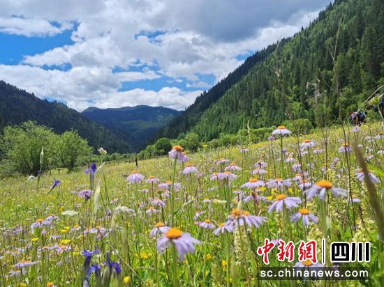 黑水风光。黑水县委宣传部供图 黑水风光。黑水县委宣传部供图