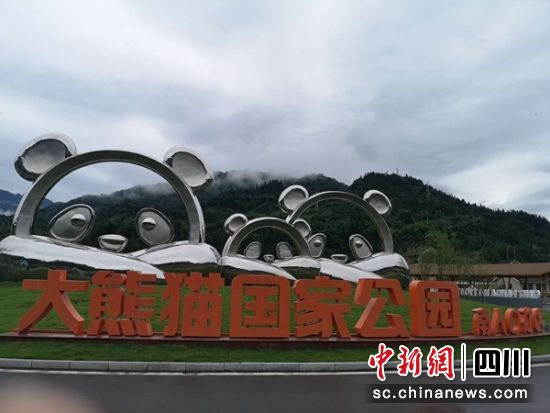 大熊猫国家公园。(四川省旅游协会文体分会供图) 大熊猫国家公园。(四川省旅游协会文体分会供图)